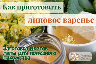 Варенье из липы