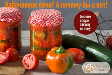 Лечо из кабачков на зиму