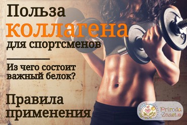 коллаген в спортивном питании