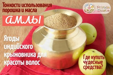 Отзывы о порошке и масле амлы