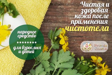 Скромный борец с самыми тяжелыми кожными заболеваниями – чистотел