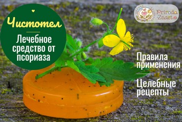 Чистотел – эффективное и доступное средство для борьбы с псориазом