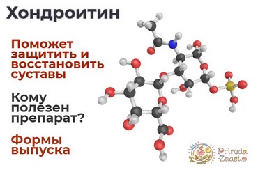Хондроитин необходим для построения суставной ткани