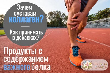 Здоровье суставов зависит от количества коллагена