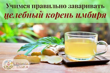 Отвар из корня имбиря