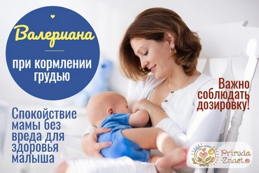Кормление грудью
