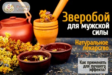 Зверобой полезен мужчинам