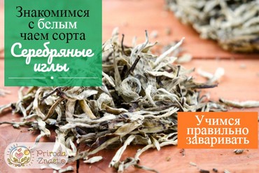 Чай «Серебряные иглы»