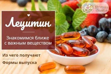 Что такое лецитин