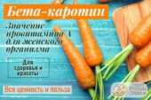 Лучшим поставщиком провитамина А является морковь