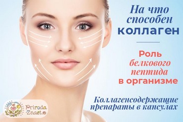 Коллаген — это основной белок нашей кожи