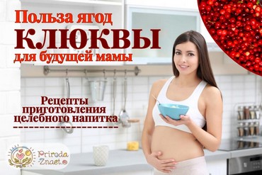 Клюква при беременности