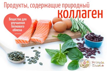 В каких продуктах содержится коллаген