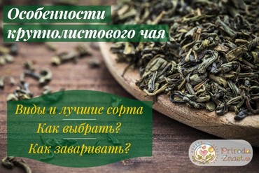 Крупнолистовой чай
