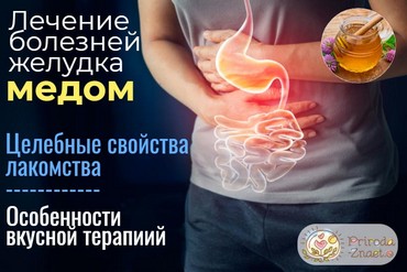 Мед для желудка