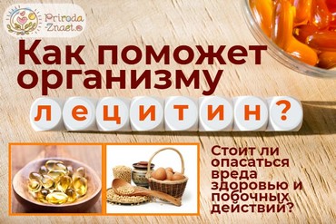 О лецитине, пользе и вреде