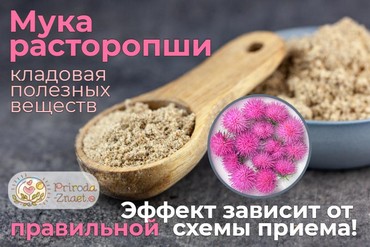 Мука расторопши – кладезь полезных элементов