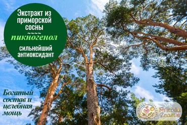 Пикногенол
