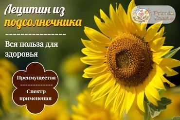 Подсолнечный лецитин