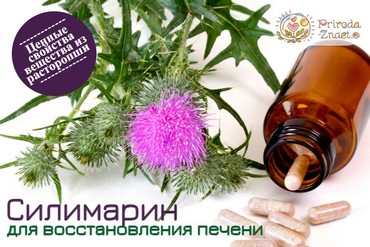 Уникальный силимарин из расторопши пятнистой