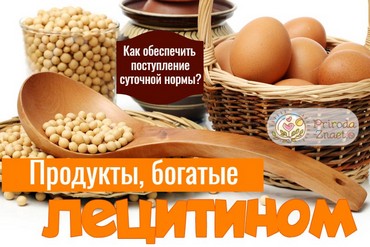 В каких продуктах содержится лецитин