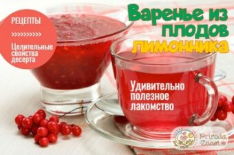 Варенье из лимонника