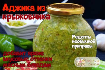Зеленая аджика