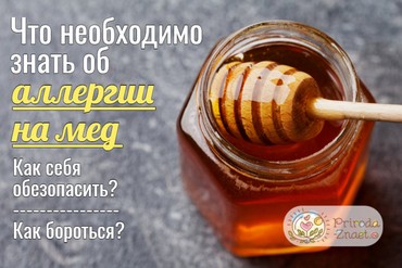 Аллергия на мед