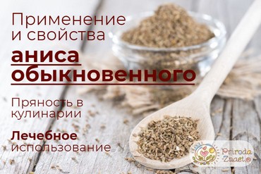 Анис