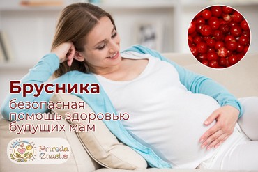 Брусника при беременности
