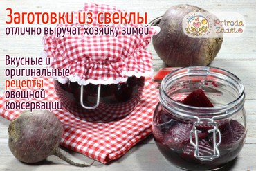 Буряк на зиму