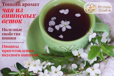 Чай из веток вишни