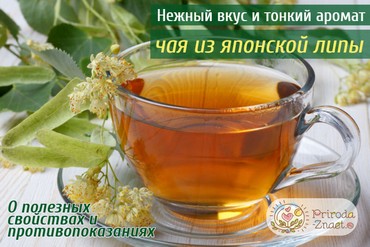 Чай Японская липа