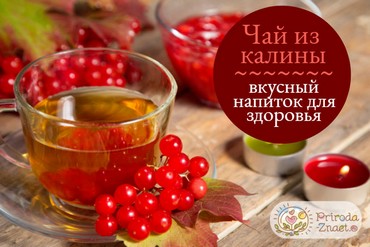 Чай с калиной