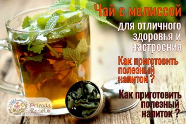 Чай с мелиссой