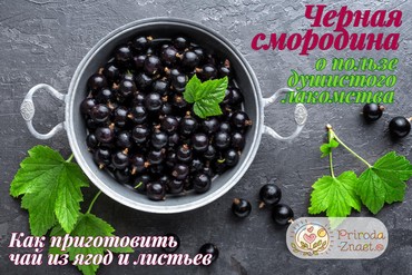 Черная смородина