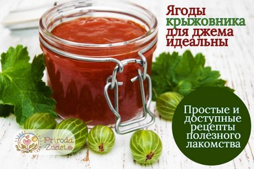 Джем из крыжовника