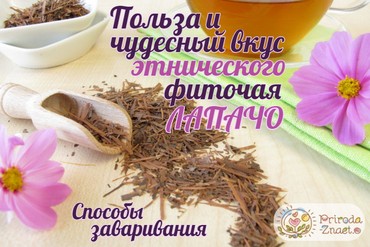 Фиточай лапачо