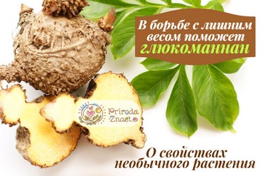 Глюкоманнан