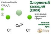 Хлорид кальция Е509