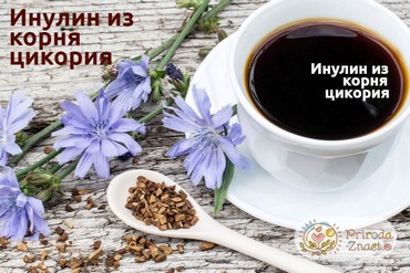 Все об инулине цикория