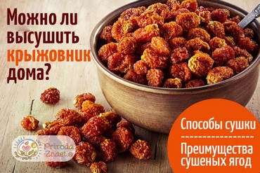 Сушеный крыжовник
