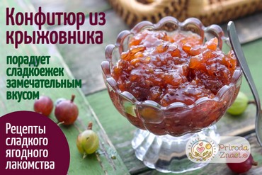 Конфитюр из крыжовника