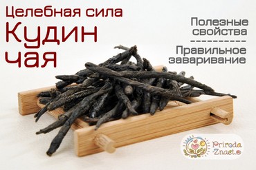 Кудин чай
