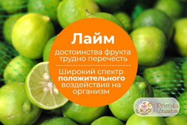 Лайм
