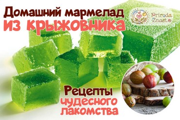 Мармелад из крыжовника