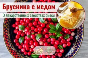 Брусника с медом