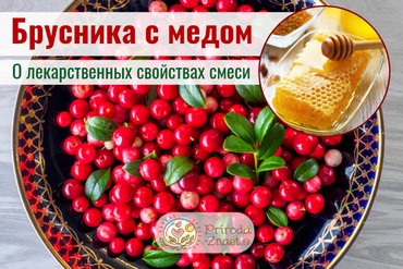 Брусника с медом