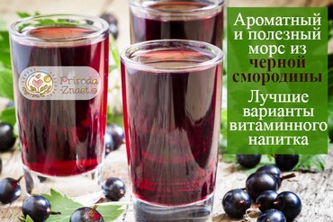 Морс из черной смородины