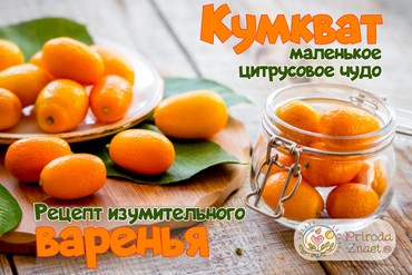 Кумкват